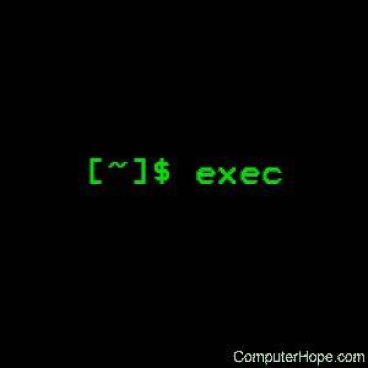 What is exec command in Unix