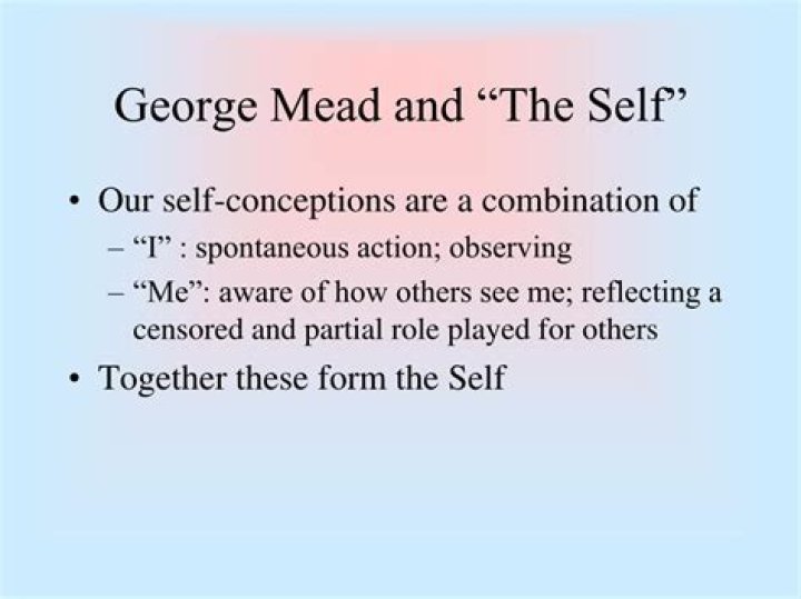 What is George Meads theory