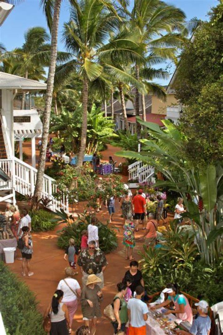 What is grown in Kauai