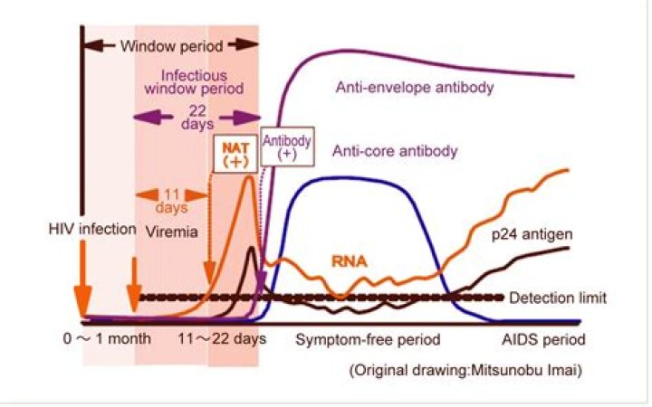 What is HIV 2 antibody