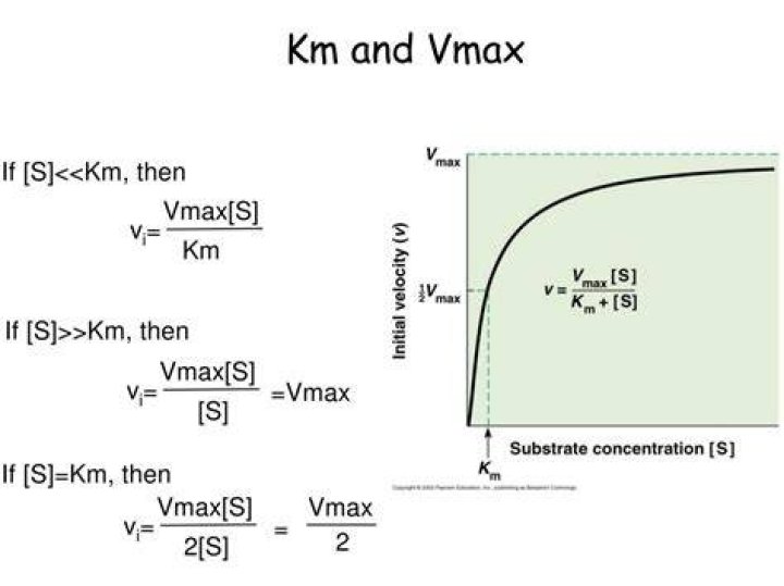 What is Km and Vmax definition