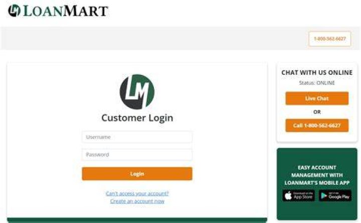 What is LoanMart
