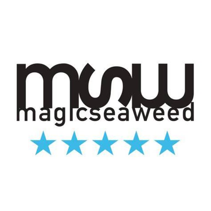 What is Magicseaweed