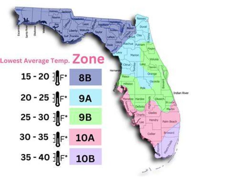 What is my growing zone in Florida