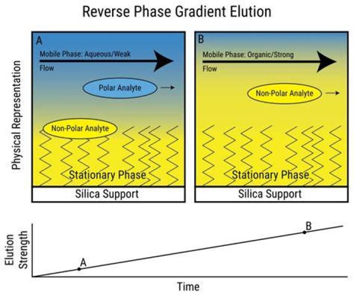 What is normal and reverse phase chromatography