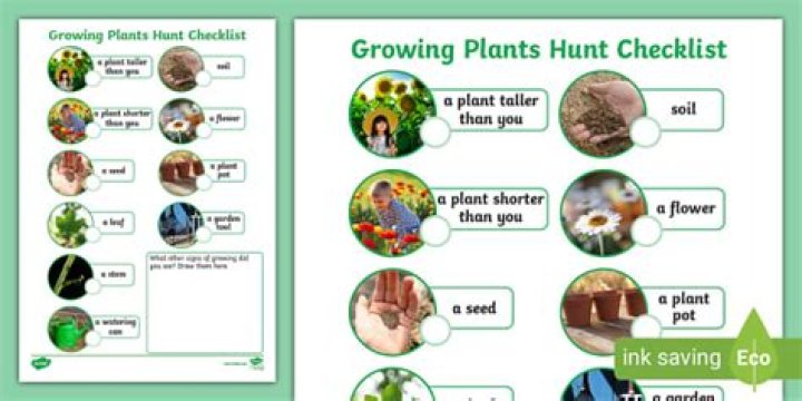 What is one way that all plants hunt for food