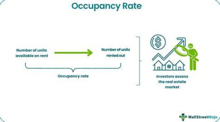 What is owner occupancy rate