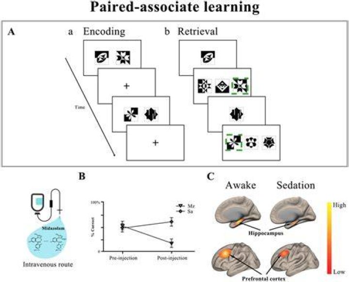 What is paired associate learning