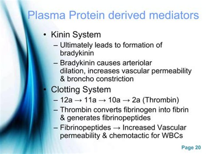 What is plasma kinin