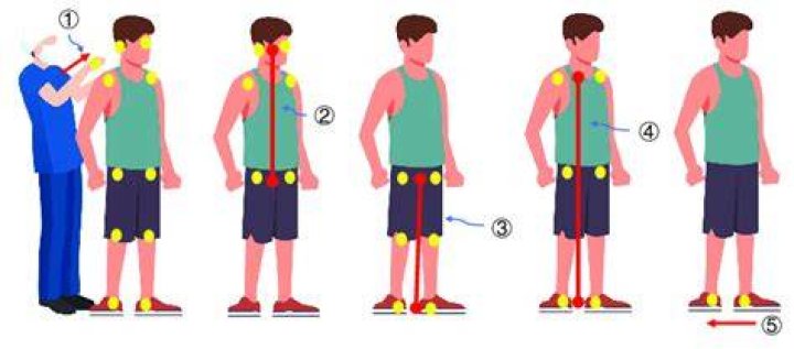 What is postural stability