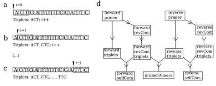 What is primer self complementarity