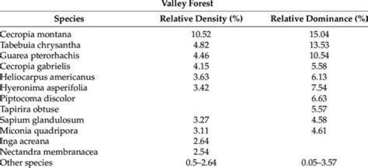 What is relative dominance