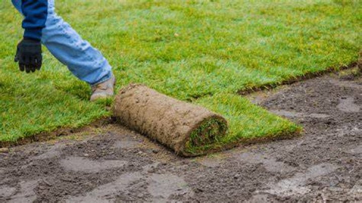 What is sod short for