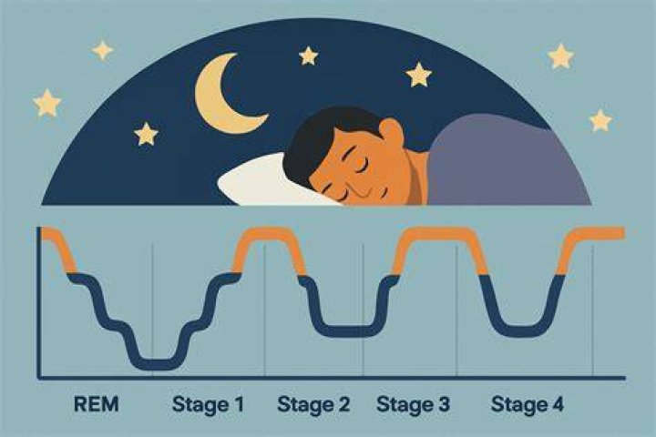 What is stage IV sleep