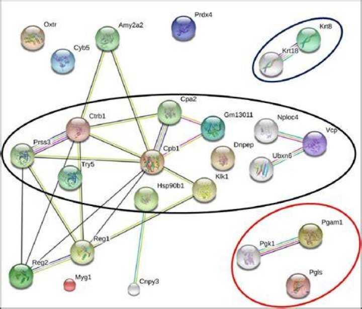 What is string in bioinformatics
