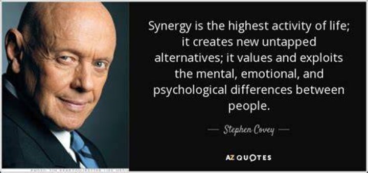 What is synergy Covey