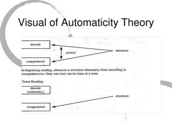 What is the automaticity theory