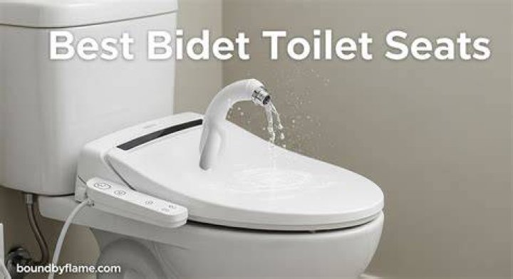 What is the best bidet toilet