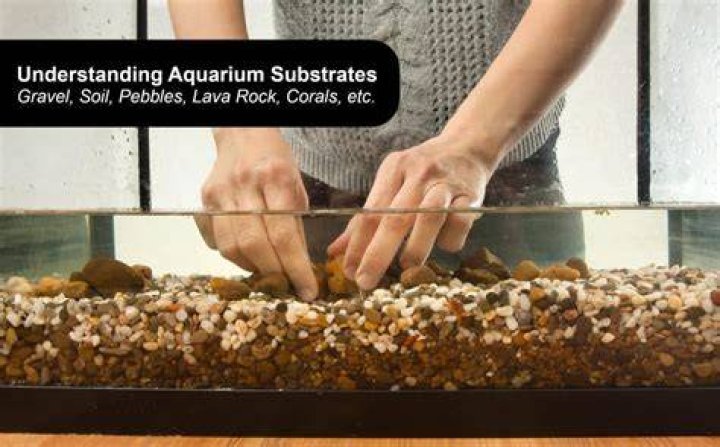 What is the best fish tank gravel