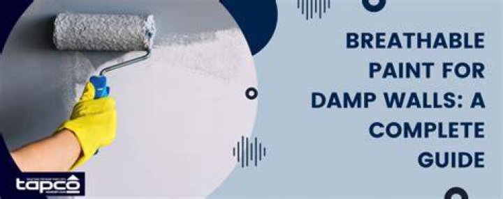What is the best paint to use on damp walls