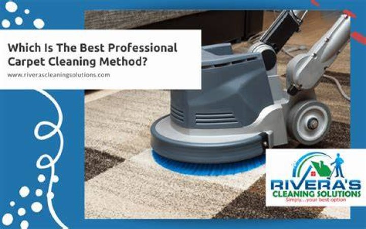 What is the best professional carpet cleaning method