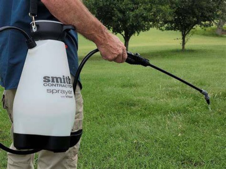 What is the best pump sprayer