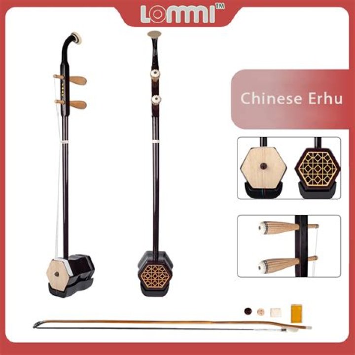 What is the classification of erhu