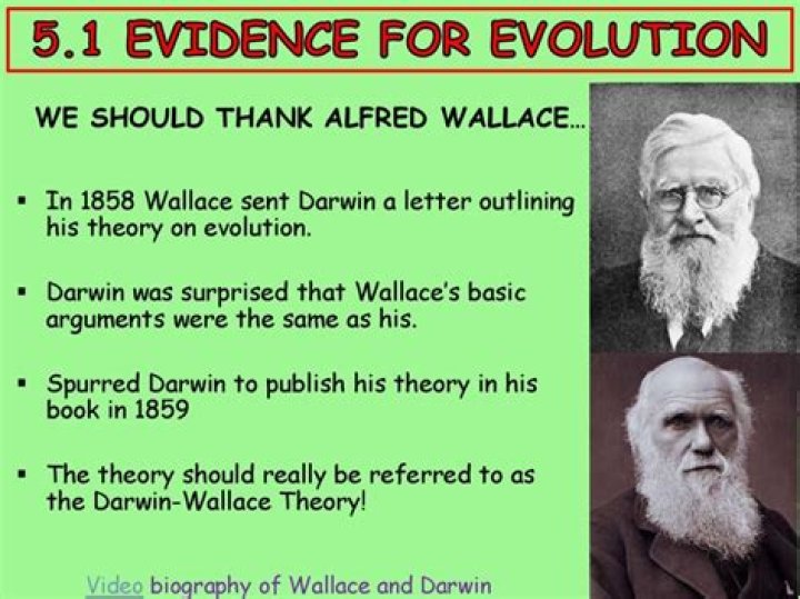 What is the Darwin Wallace theory of evolution