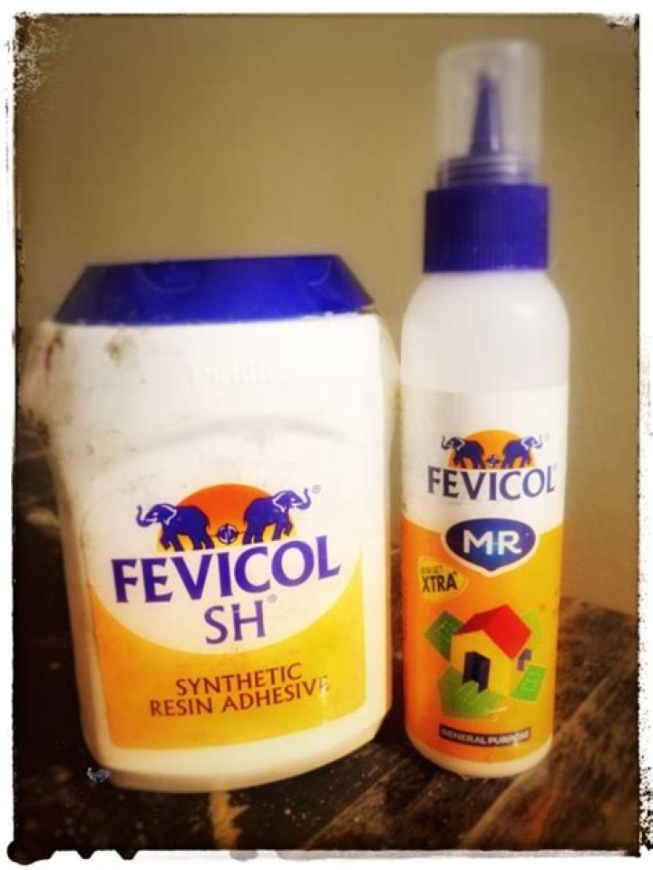 What is the difference between glue and fevicol