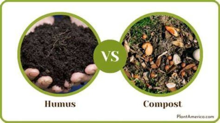What is the difference between humus and compost