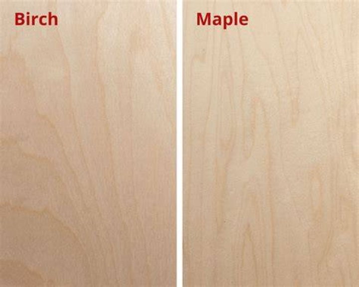 What is the difference between maple and birch