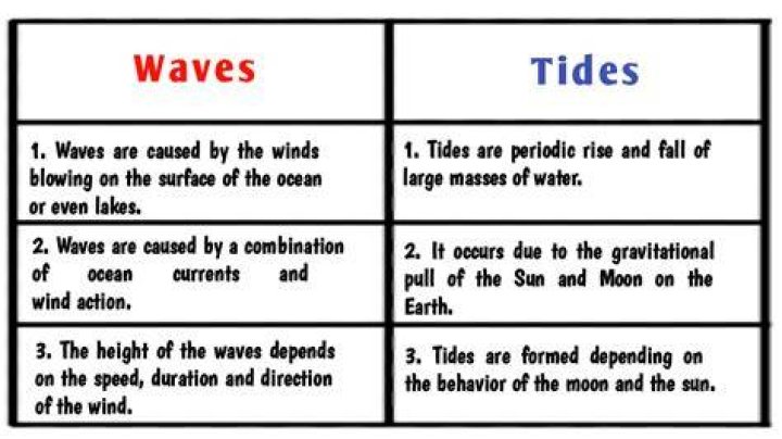 What is the difference between tides and waves