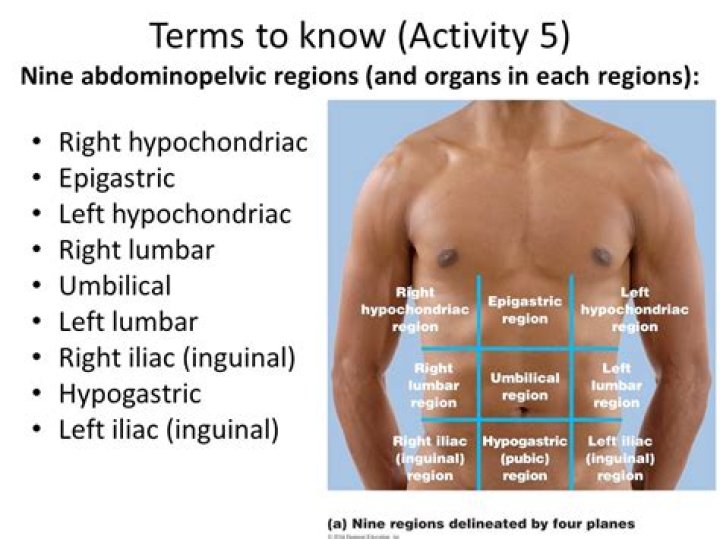 What is the hypochondriac region