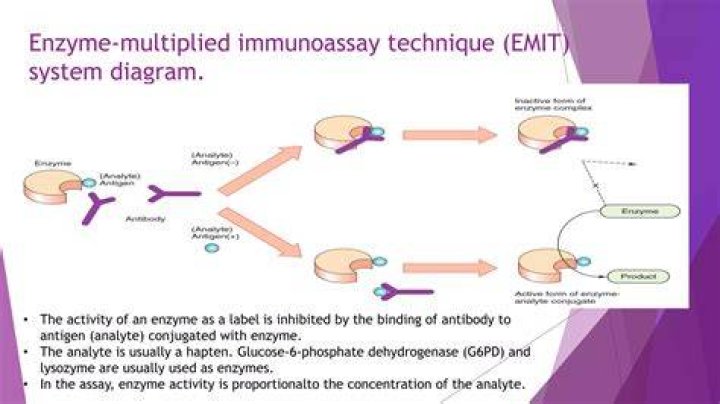 What is the immunoassay technique