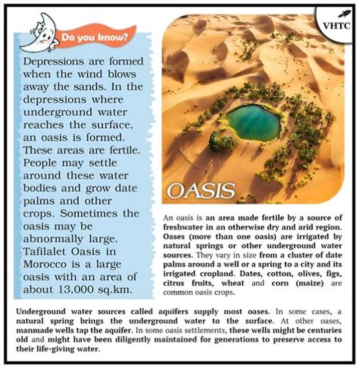 What is the importance of Oasis