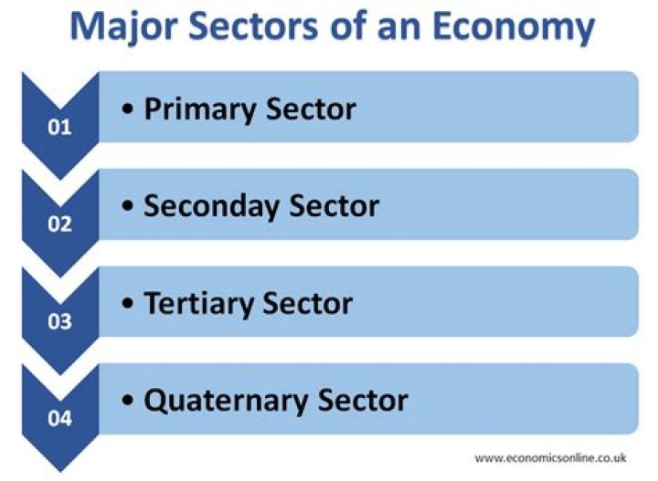 What is the importance of the primary sector