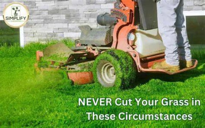 What is the latest time you can cut your grass