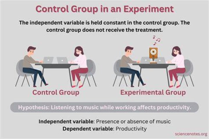 What is the meaning of control group
