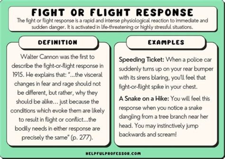 What is the meaning of fight or flight response