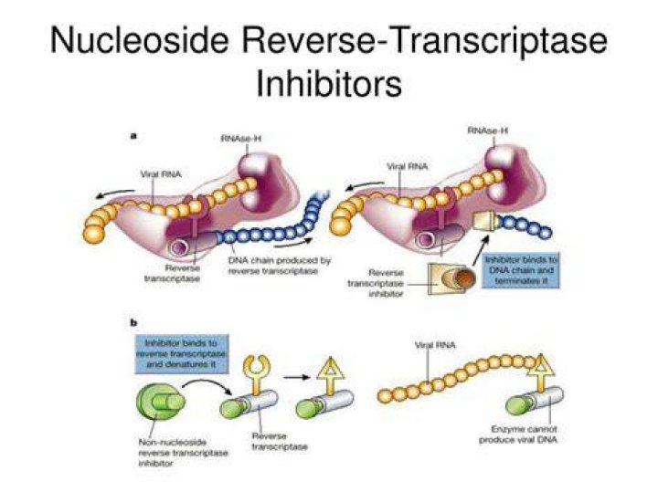 What is the meaning of non nucleoside reverse transcriptase inhibitors