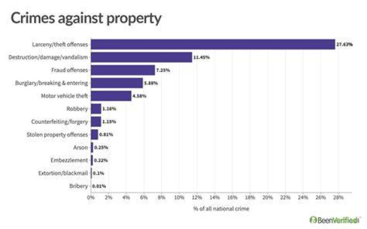 What is the most common property crime