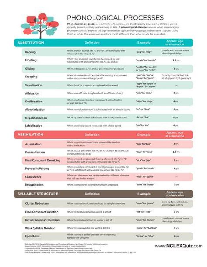 What is the phonological process