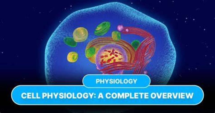 What is the physiology of a cell