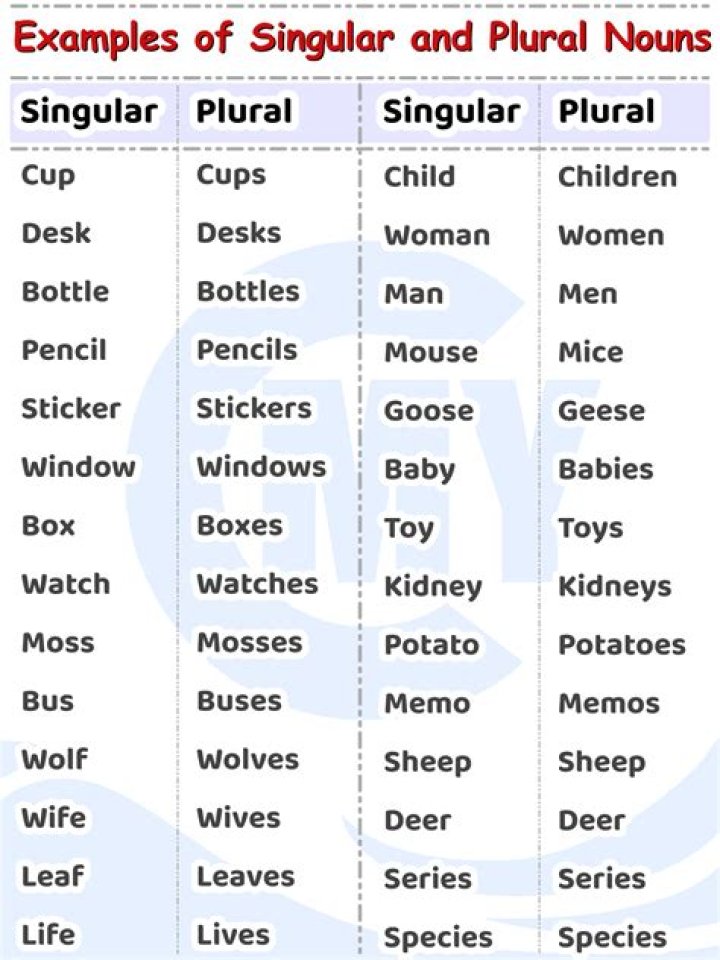 What is the plural of washerman