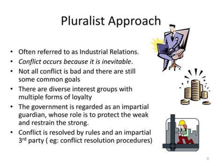 What is the pluralist approach