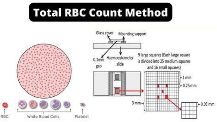 What is the principle of RBC count