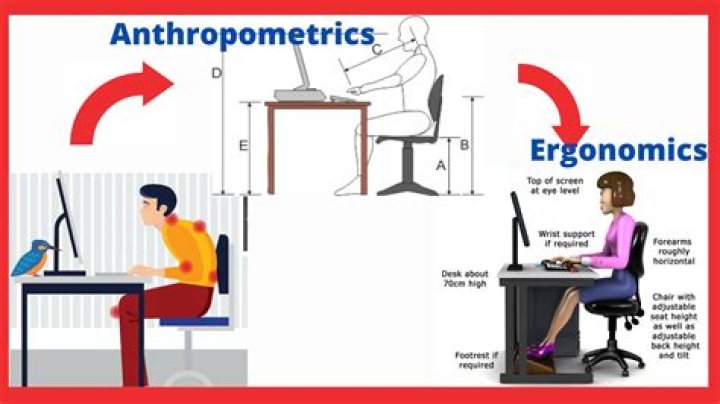What is the relationship between ergonomics and Anthropometrics