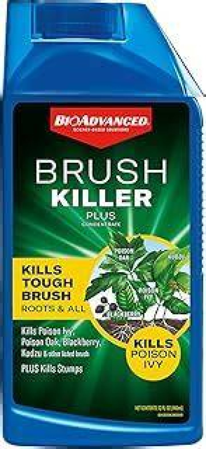 What is the strongest brush killer