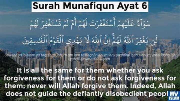 What is the Surah called Al munafiqeen