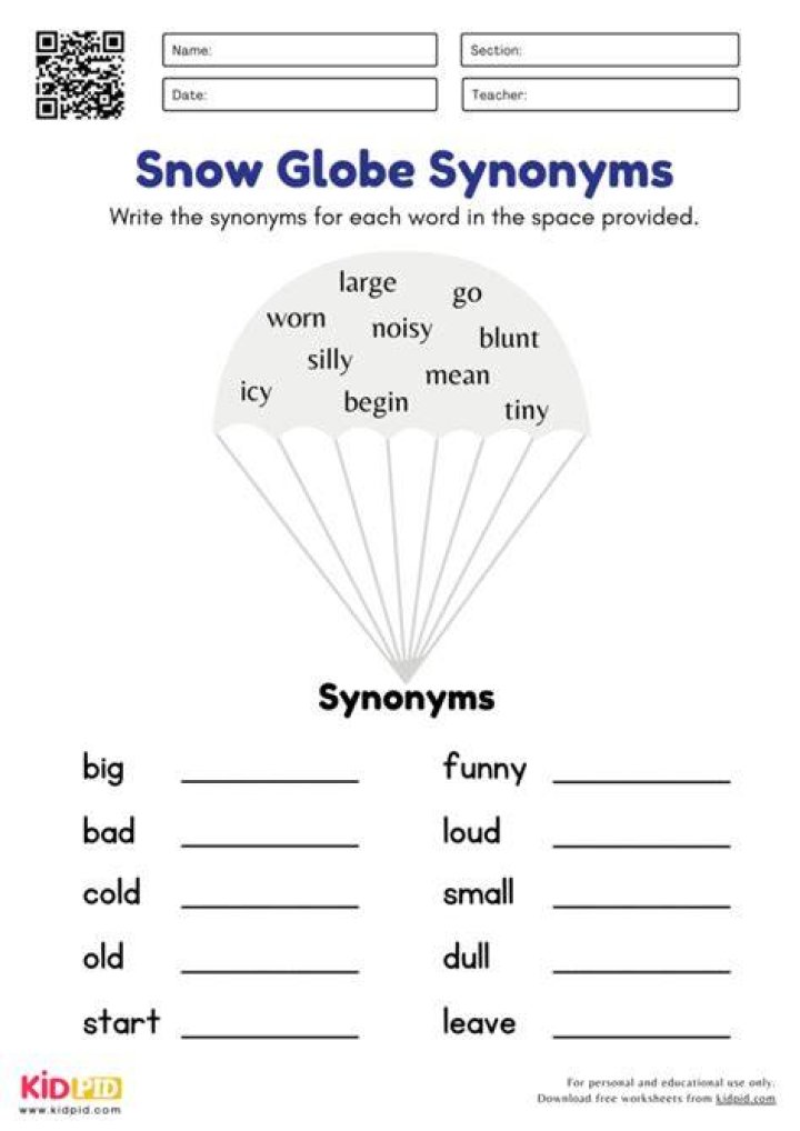 What is the synonym of globe